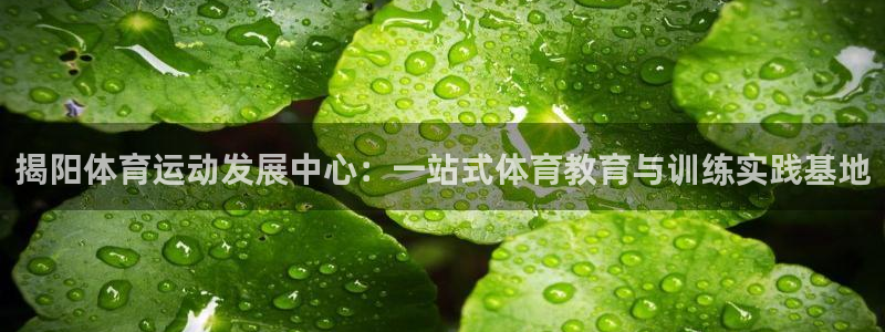 k1体育链接：揭阳体育运动发展中心：一站式体育教育与训练实践基地