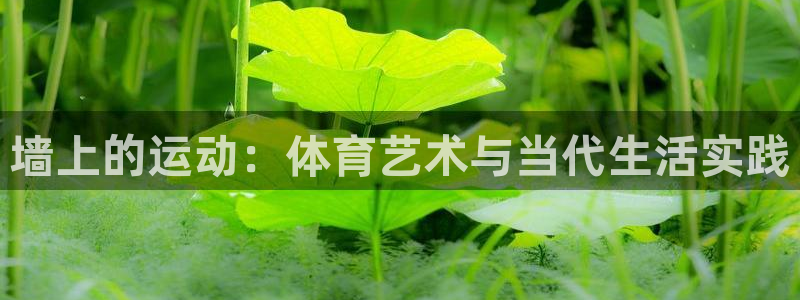 k1体育十年品牌值得信赖网址：墙上的运动：体育艺术与当代生活实践
