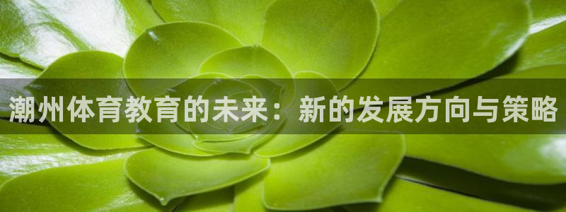 k1体育十年平台：潮州体育教育的未来：新的发展方向与策略