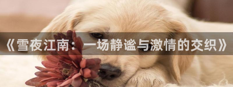 k1体育 十年品牌：《雪夜江南：一场静谧与激情的交织》