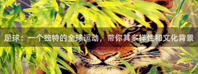 k1体育网址是多少：足球：一个独特的全球运动，带你其多样性和文化背景