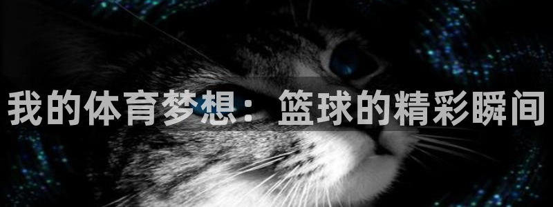k1体育链接多少：我的体育梦想：篮球的精彩瞬间