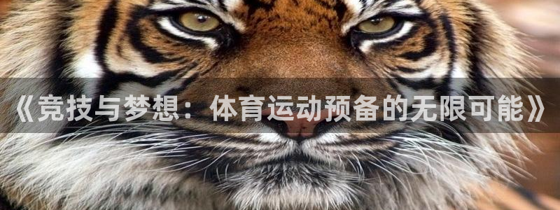 k1体育娱乐：《竞技与梦想：体育运动预备的无限可能》