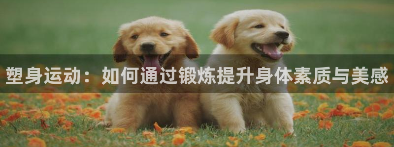k1体育十年登录入口：塑身运动：如何通过锻炼提升身体素质与美感