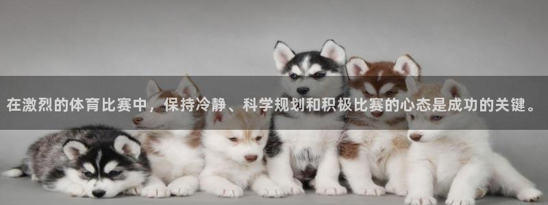 k1体育娱乐：在激烈的体育比赛中，保持冷静、科学规划和积极比赛的心态是成功的关键。