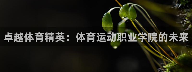 k1体育下载链接：卓越体育精英：体育运动职业学院的未来