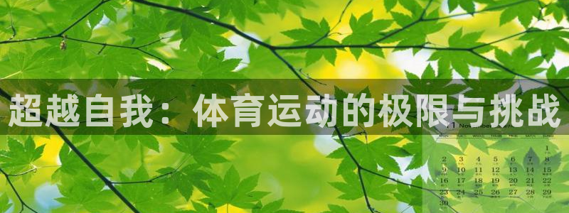 k1体育网站登录官网：超越自我：体育运动的极限与挑战