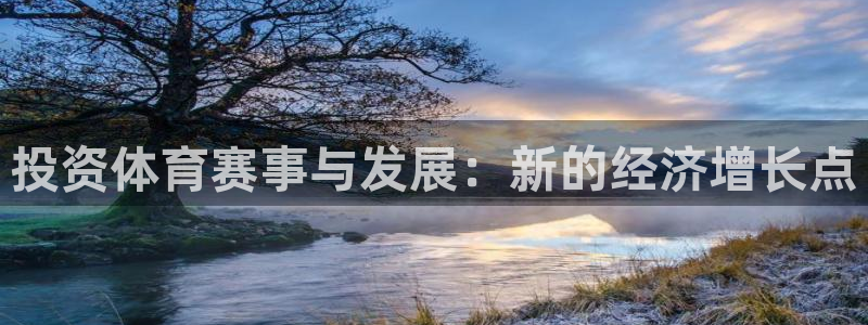 k1体育 十年品牌：投资体育赛事与发展：新的经济增长点